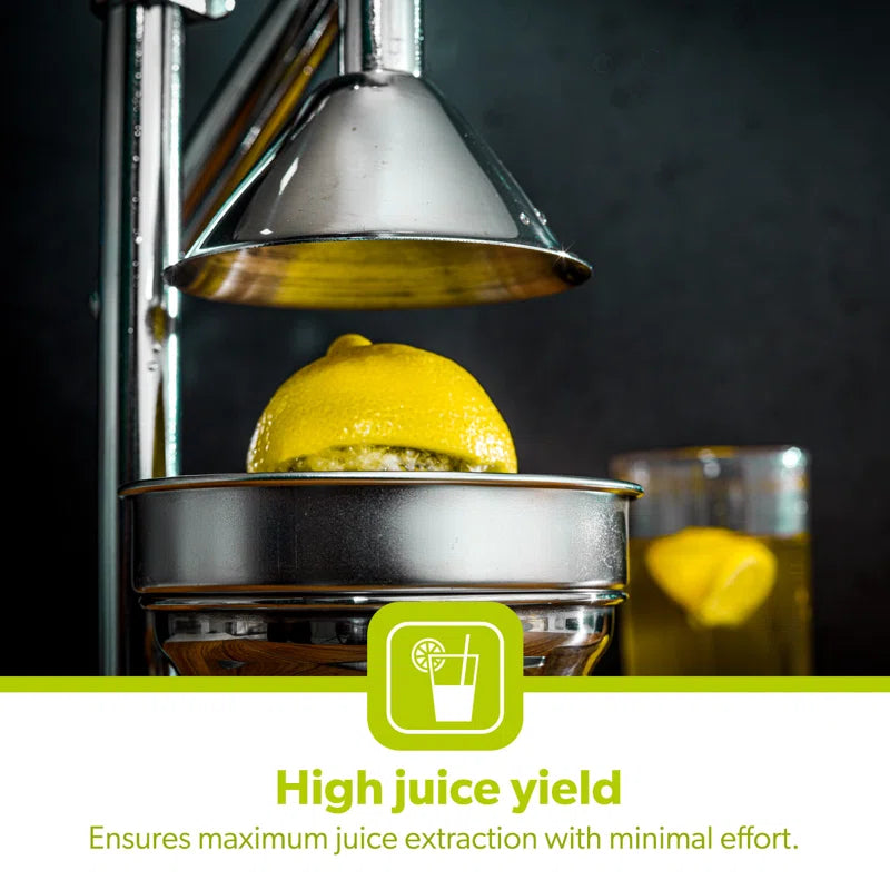 Manual Citrus Juicer Hand Press Juice Extractor Heavy-Duty Anti-Slip Base for Stability